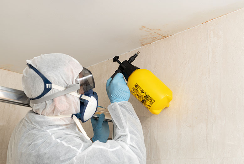 A person in protective gear sprays a yellow bottle at a stained ceiling corner, addressing mold or damage.