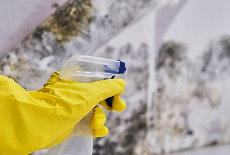 A hand in a yellow rubber glove holds a spray bottle, pointed towards a textured wall with a faded pattern.